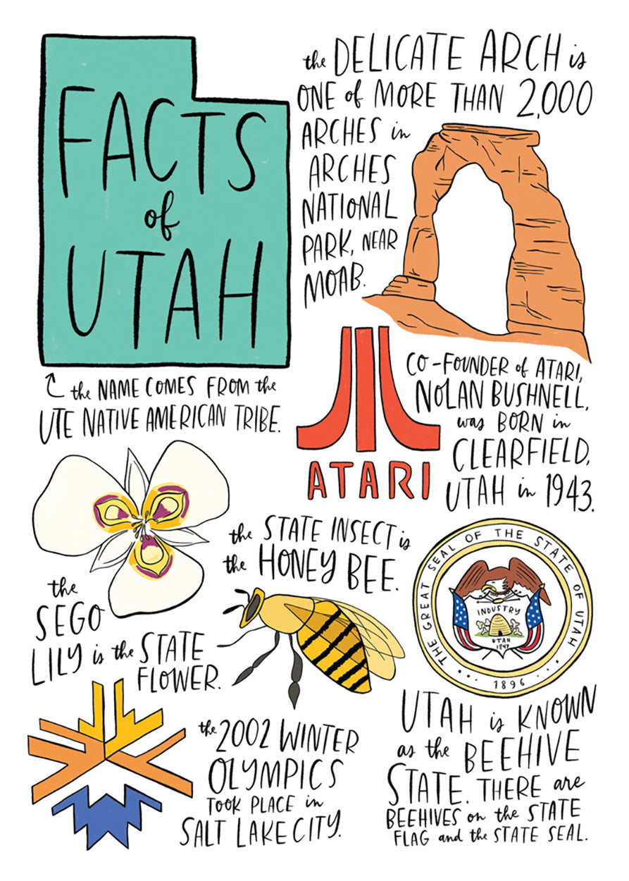 Medium zoom view, unpackaged, showing the whole State Facts design printed on the towel.
