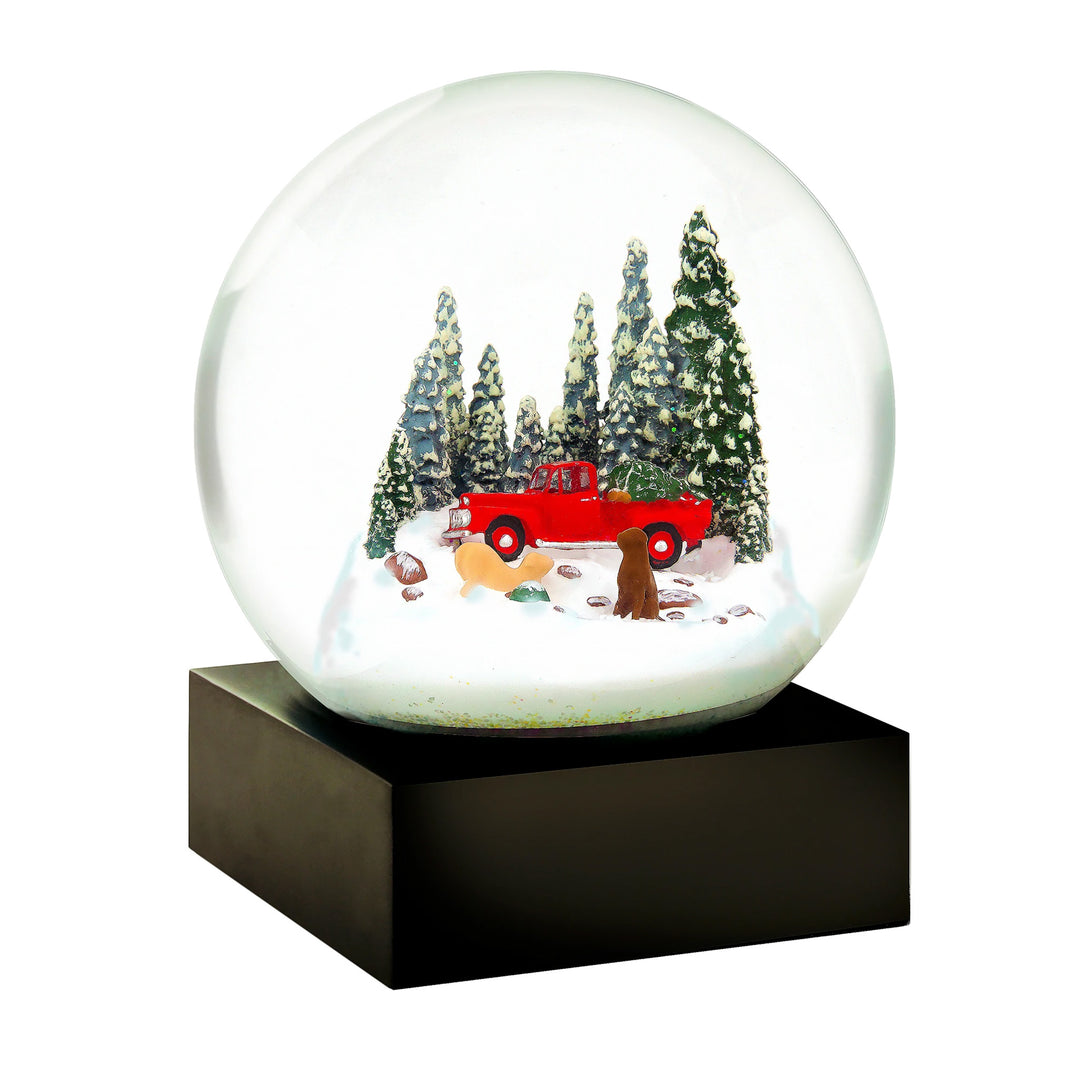 Red Truck with Dogs Cool Snow Globe.