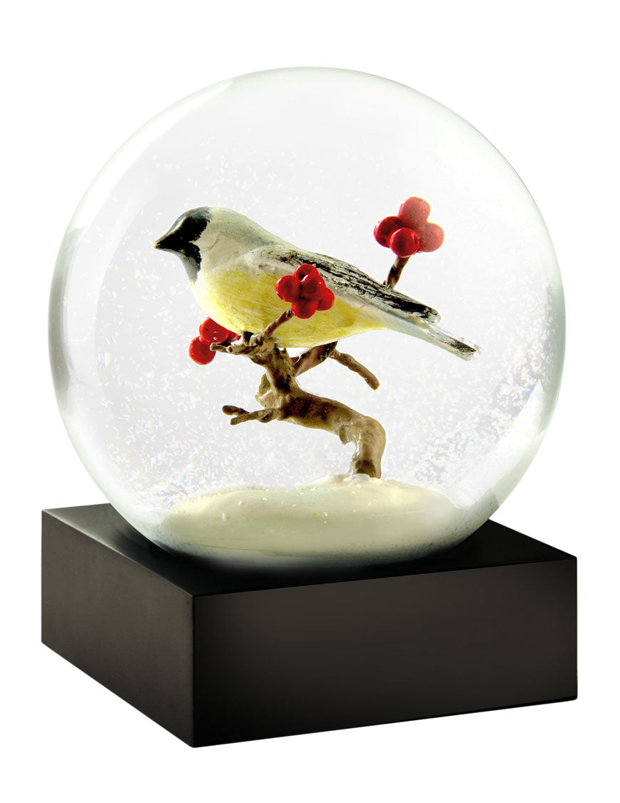 Chickadee Bird Cool Snow Globe.