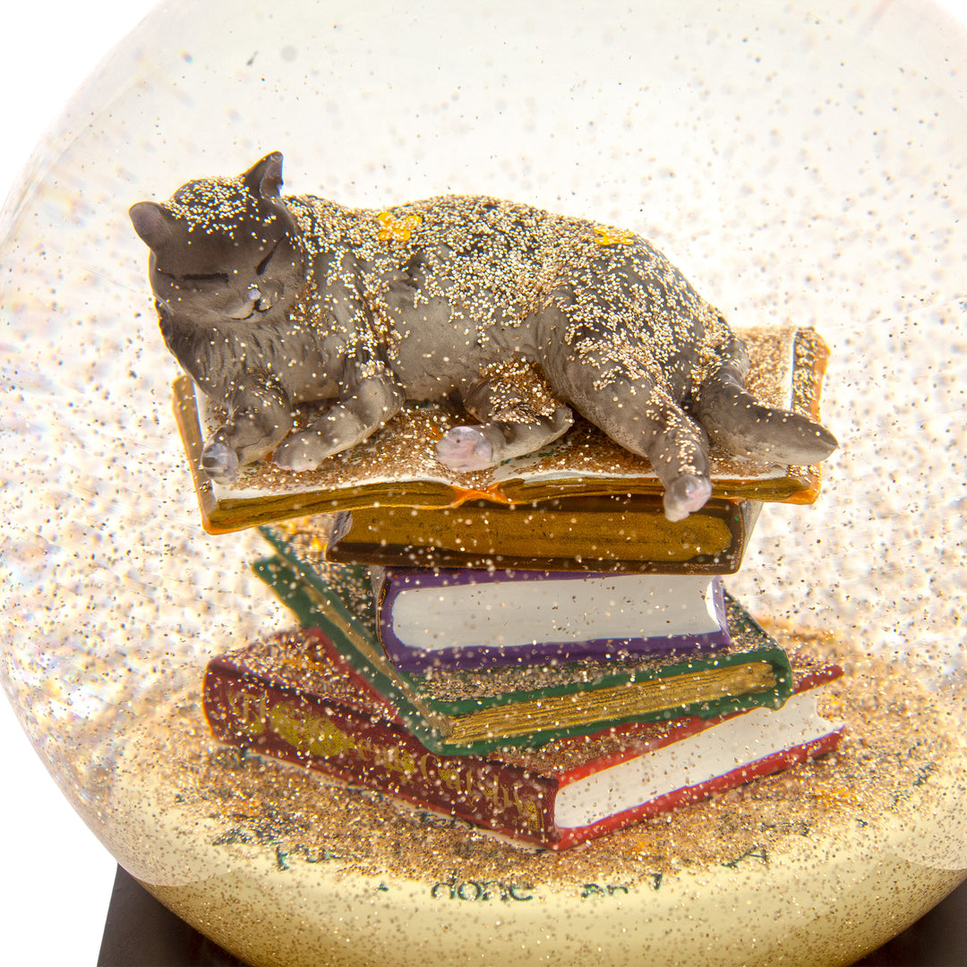 Cat on Books Cool Snow Globe front close-up view.