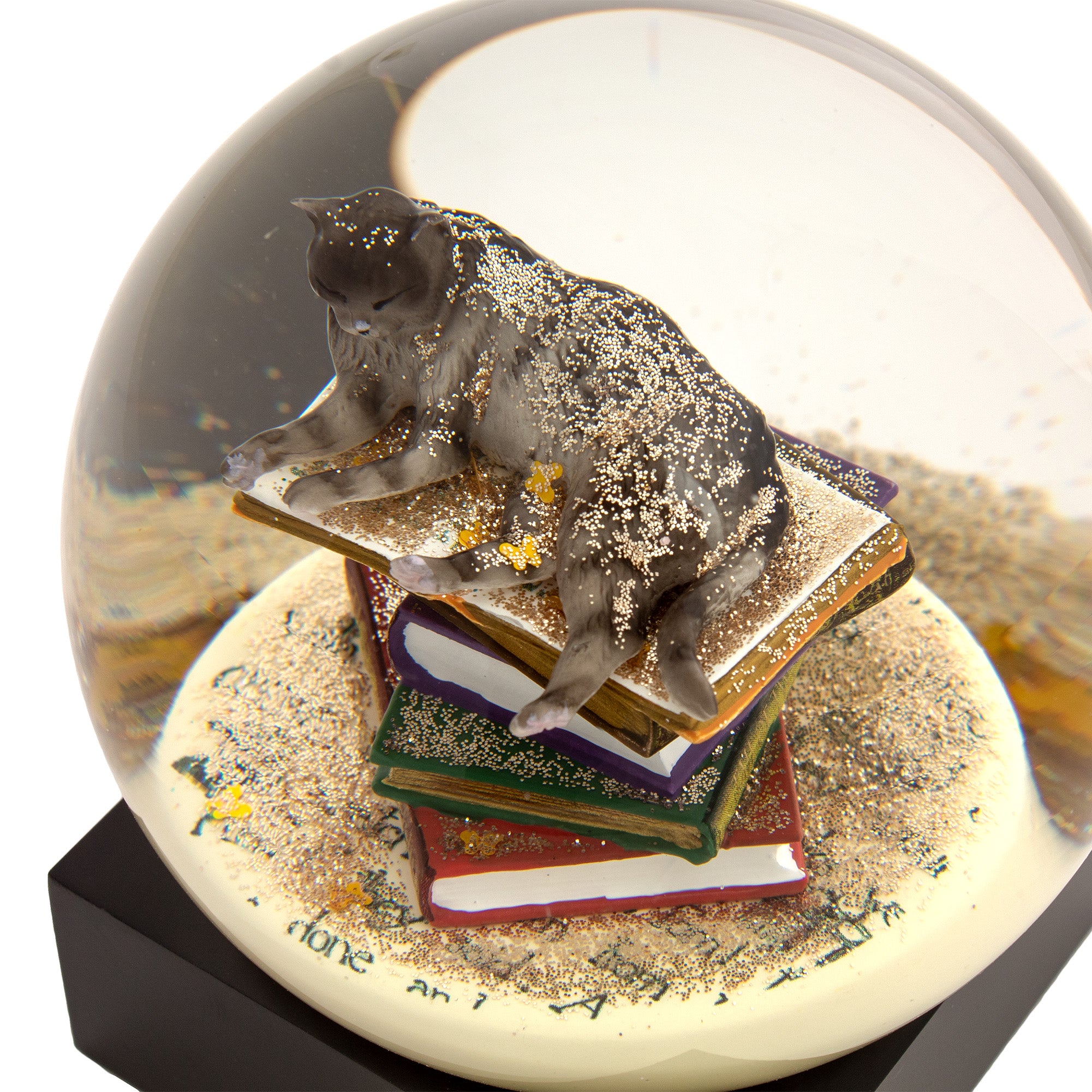 Cat on Books Cool Snow Globe front right high view.