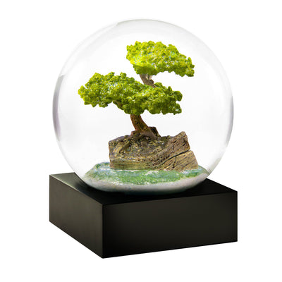 Bonsai Plant Miniature Tree Snow Globe by CoolSnowGlobes.