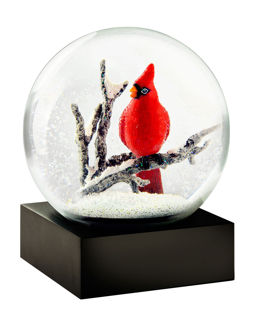 Red Cardinal Bird Cool Snow Globe.