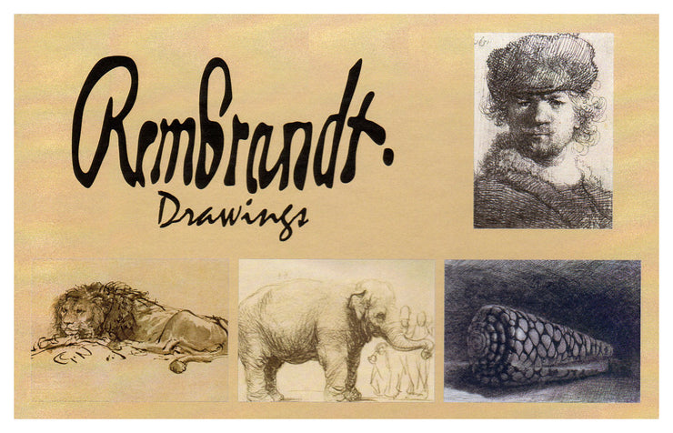 Rembrandt Drawings Note Cards - Boxed Set of 16 Note Cards