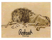 Rembrandt Drawings Note Cards - Boxed Set of 16 Note Cards