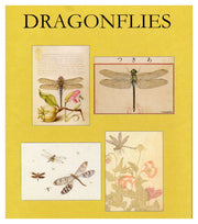 Dragonflies Note Cards - Boxed Set of 16 Note Cards with Envelopes