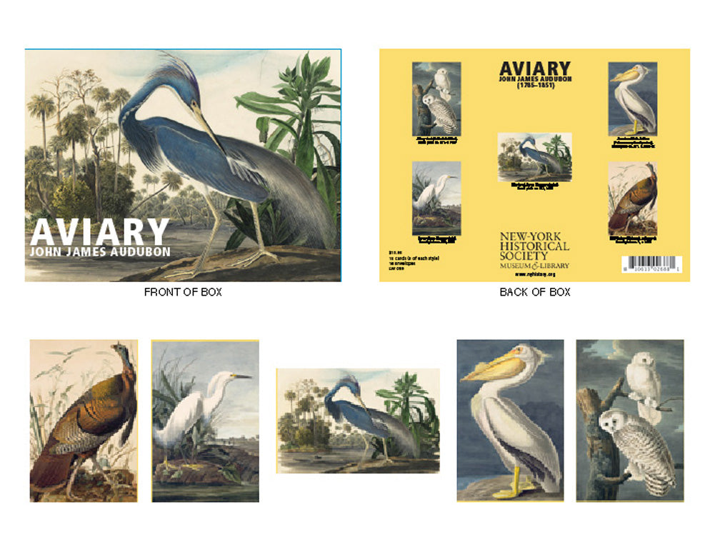 Audubon Aviary Birds of America Illustrations Paintings Boxed Note Cards