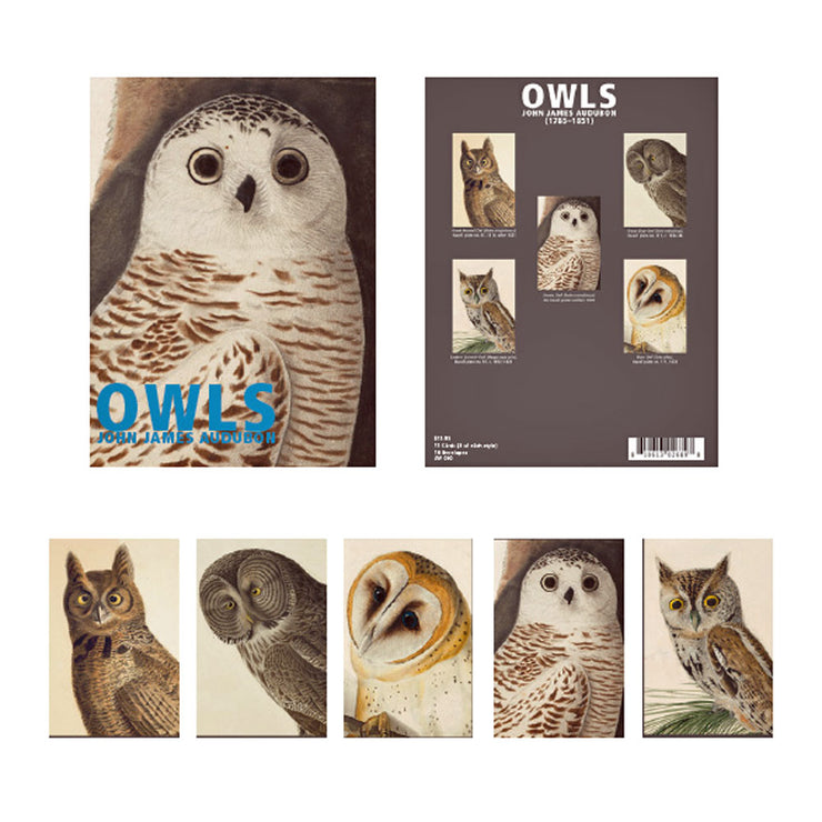 Audubon Owls Illustrations Paintings Wildlife Boxed Note Cards Set